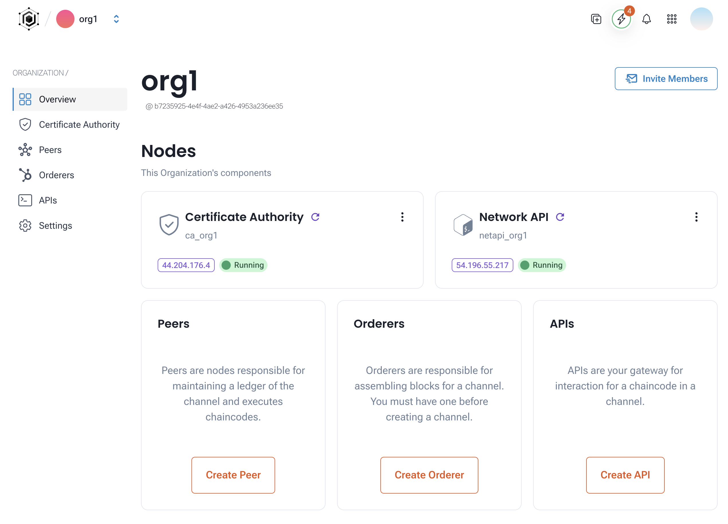 Organization Overview